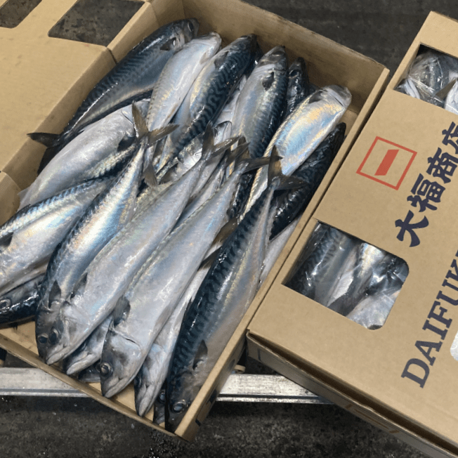 サバも新鮮そのもの