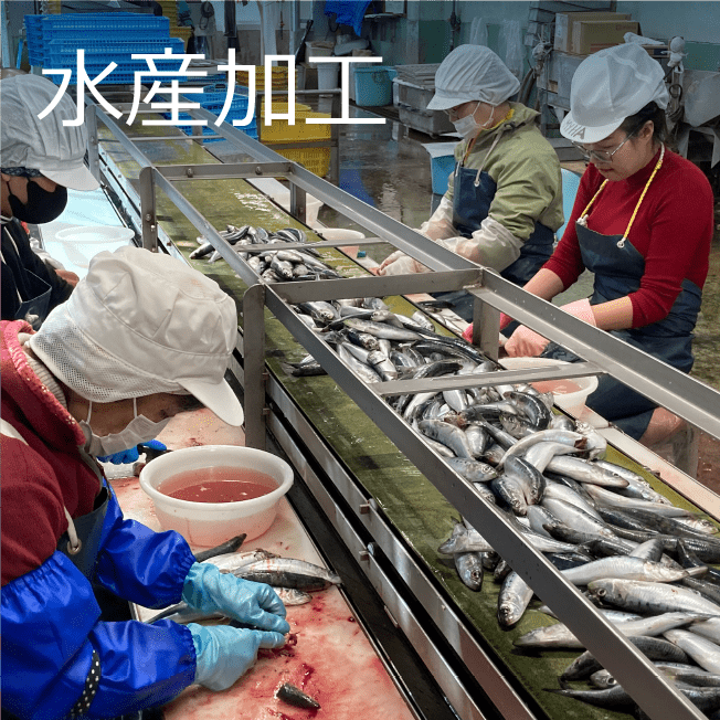 水産加工