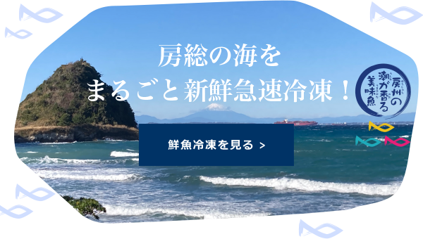 鮮魚冷凍を見る